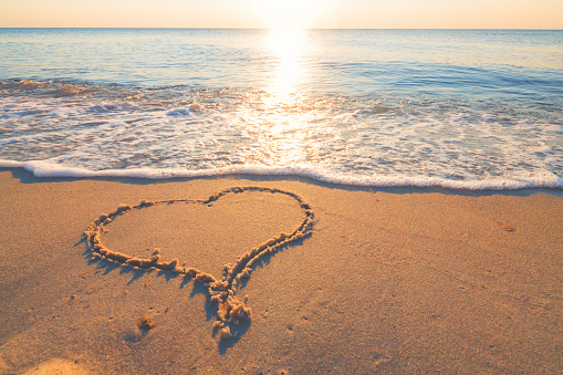 Finding Your Perfect Dose: A Guide to Probiotic Supplementation