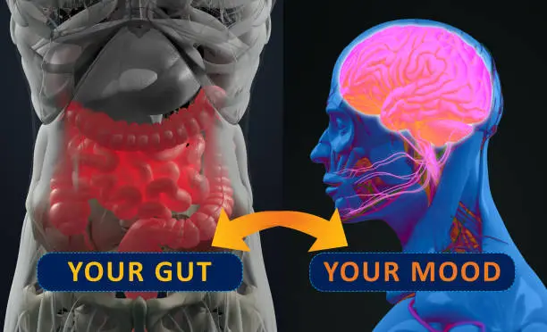 The Gut-Brain Connection: How Probiotics May Support Mental Wellbeing